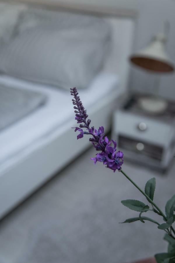埃格尔Farmhouse Apartman公寓 外观 照片